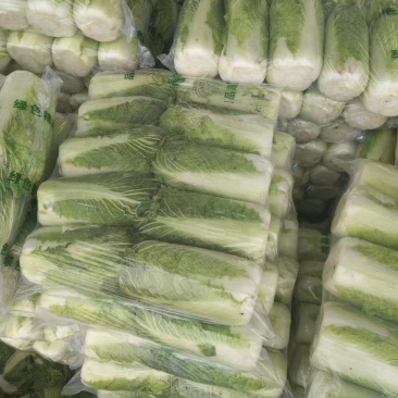 白菜窖存北京三号口感好