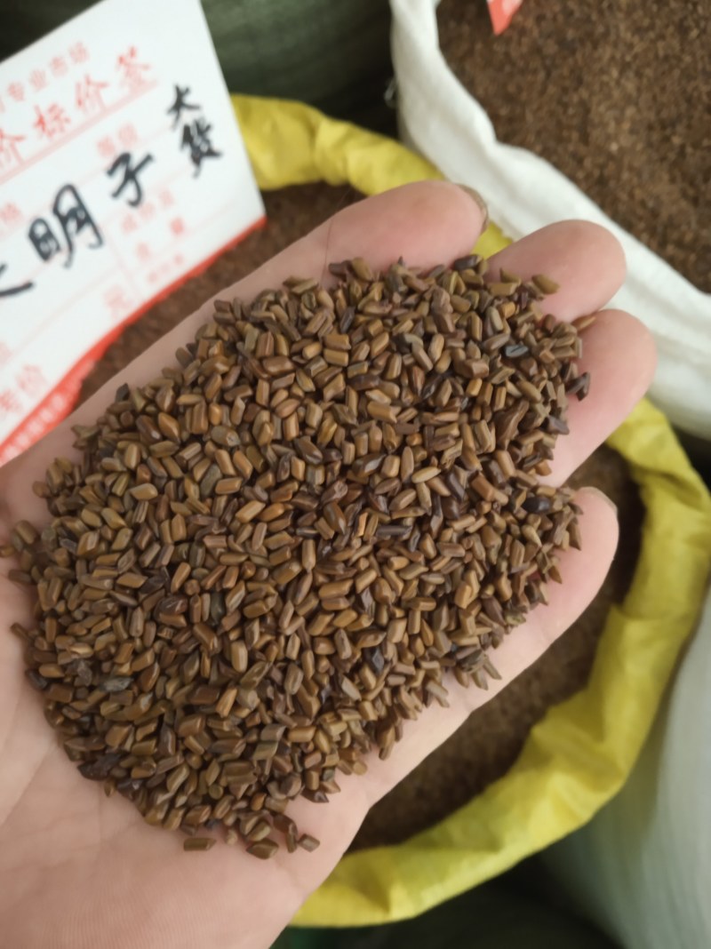 新货，决明子，干净无杂质，饱满，产地直销
