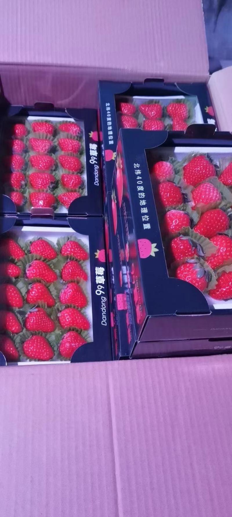 河北昌黎草莓上市口感甜果质硬颜色正耐运输