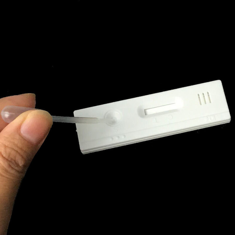 兽用测孕纸牛用验孕试纸母猪测试试纸奶牛怀孕检测卡猪用早孕