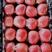 【热销】山西精品红富士苹果掉价了可供超市视频看货