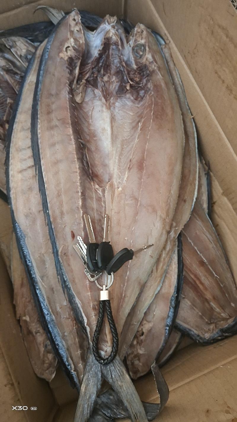刀鲅鱼腌制咸鱼干，开背去内脏，规格齐全常年有货一手货源