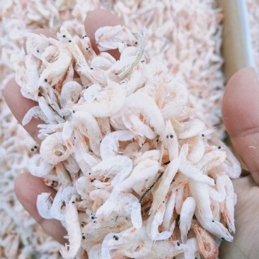 麦杆虾淡干无盐十成干度产地直发