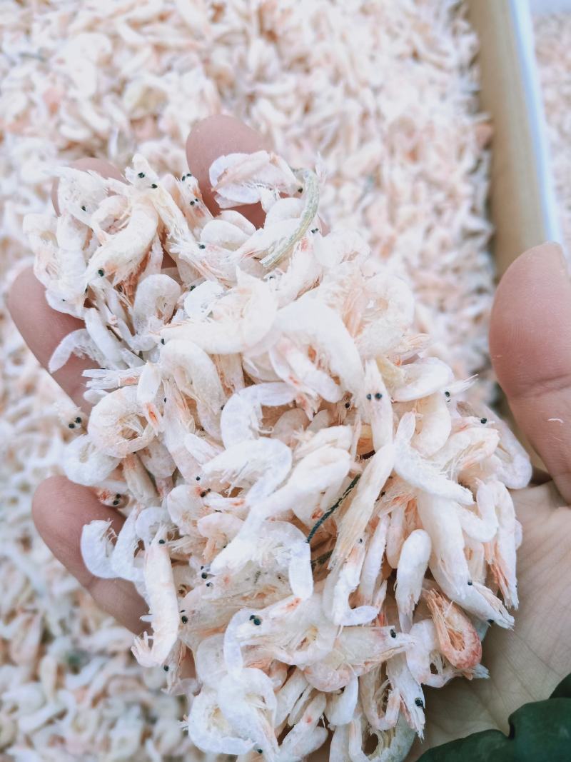 麦杆虾淡干无盐十成干度产地直发