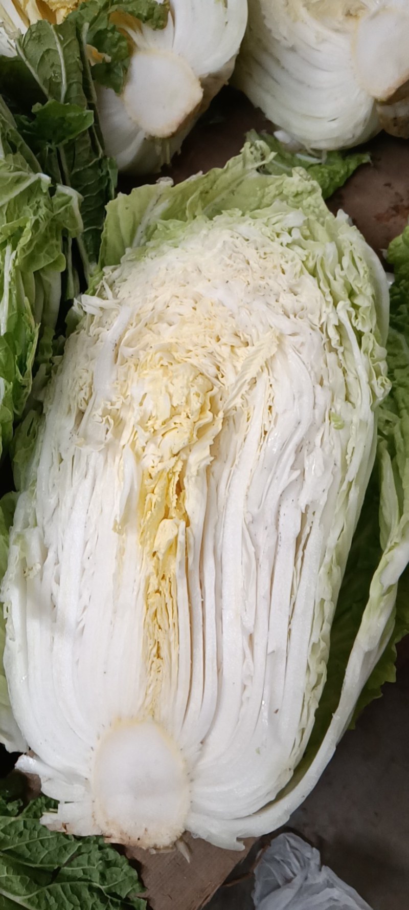 黄芯白菜，加工厂白菜，泡菜厂白菜，半黄芯，大颗菜净菜