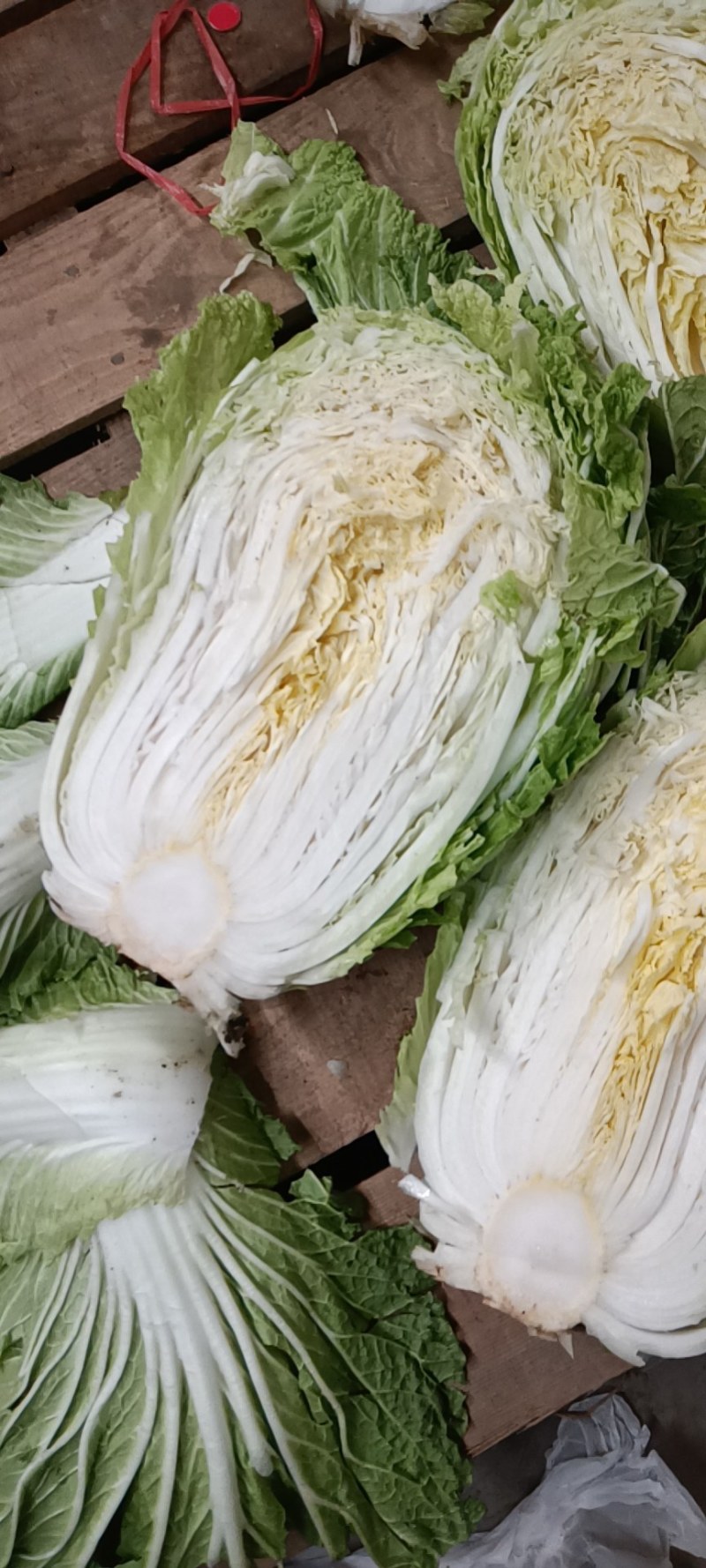 黄芯白菜，加工厂白菜，泡菜厂白菜，半黄芯，大颗菜净菜