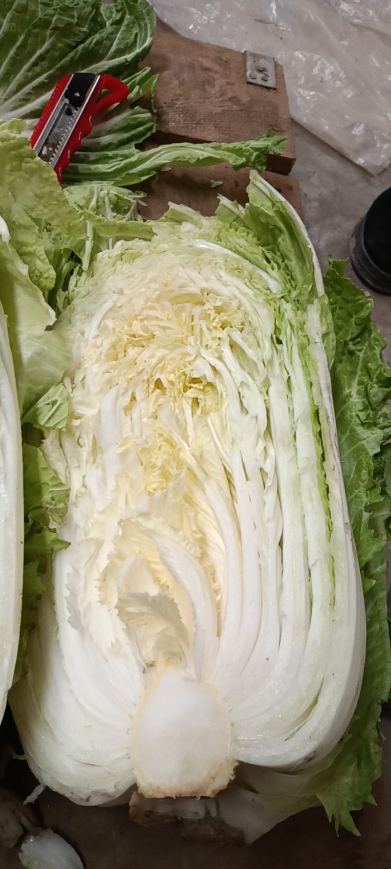 黄芯白菜，加工厂白菜，泡菜厂白菜，半黄芯，大颗菜净菜