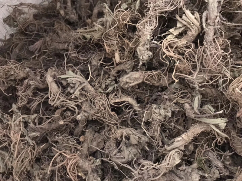 地胆头无泥干货新货草鞋根草鞋底煲汤材料