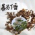 暴马丁香种子园林绿化树苗木种子暴马丁香树种子丁香