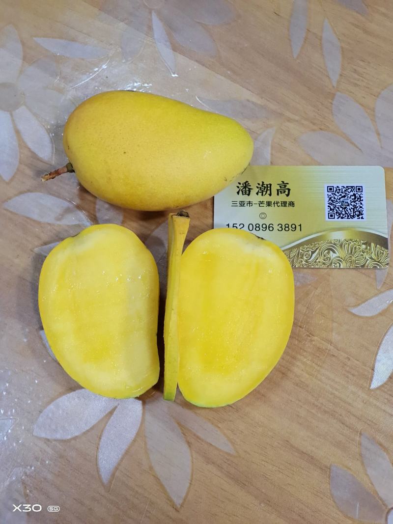 来自北纬18度°海南三亚市产地直发小台芒