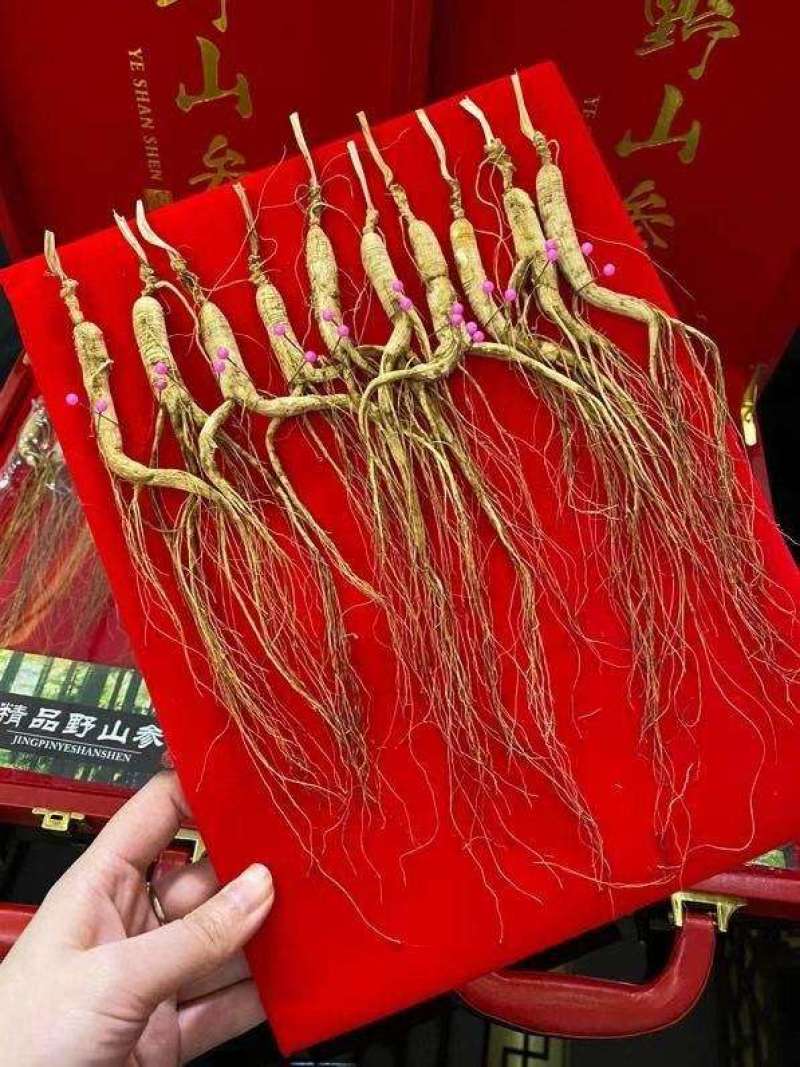 热卖《长白林下参》皮盒高端礼品林下参虽手礼