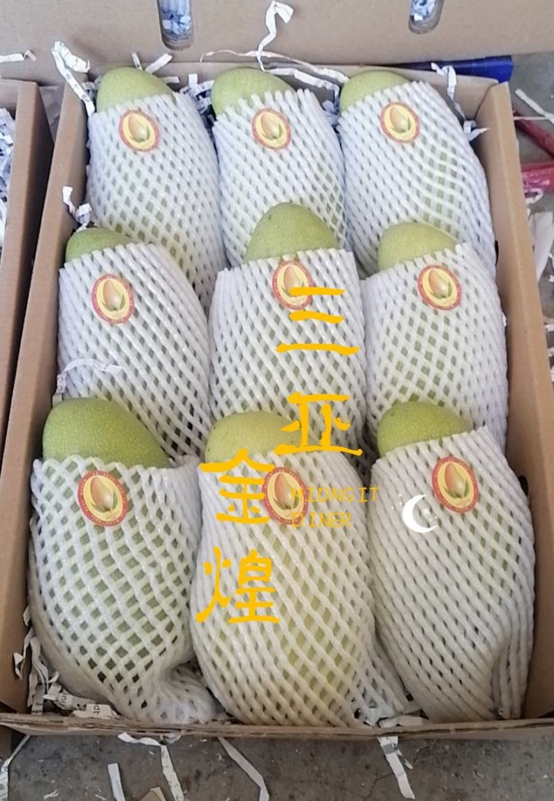来自北纬18度°海南三亚市-金煌芒果原产地直供