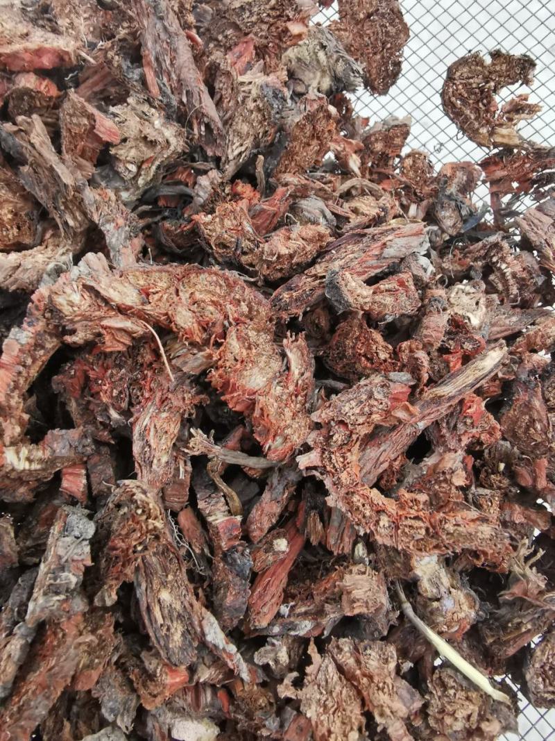 纯野生甘肃丹参丹参片产地直供量大从优质量保证