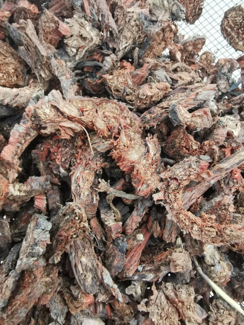 纯野生甘肃丹参丹参片产地直供量大从优质量保证