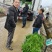 贵州炒菜葱无添加染色剂