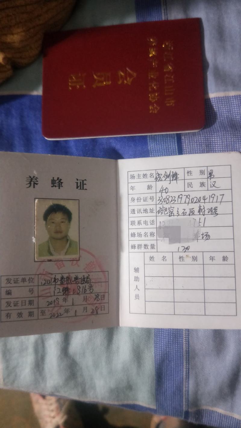 茶花粉浙江绍兴产自产自销包邮支持一件代发质量保证