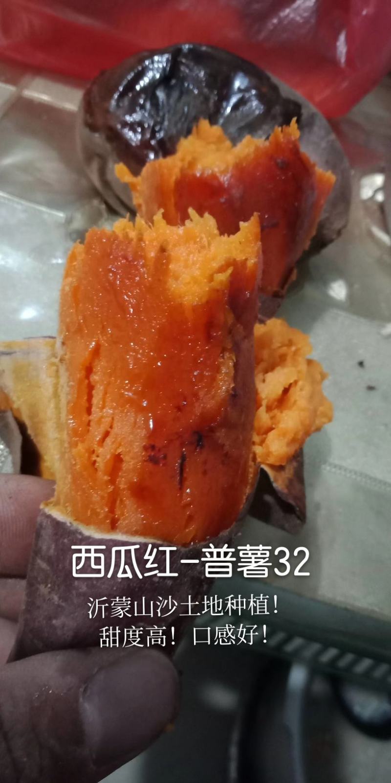 西瓜红地瓜苏八红薯普薯32价格公平