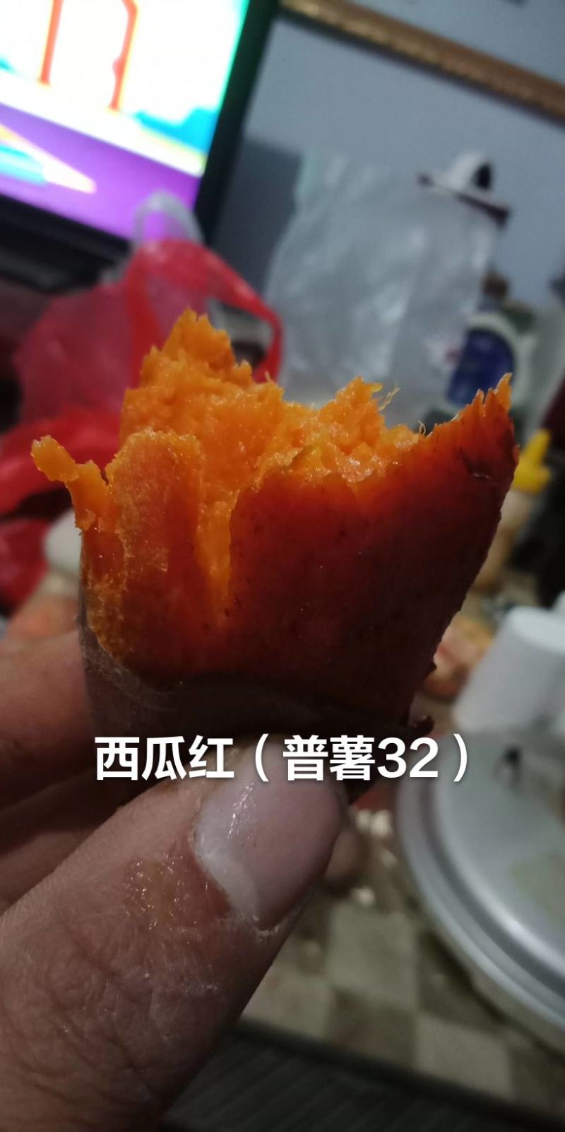 西瓜红地瓜苏八红薯普薯32价格公平