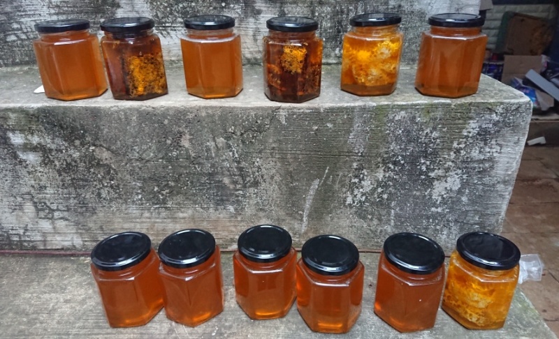 中蜂蜂蜜百花蜜土养蜂蜜