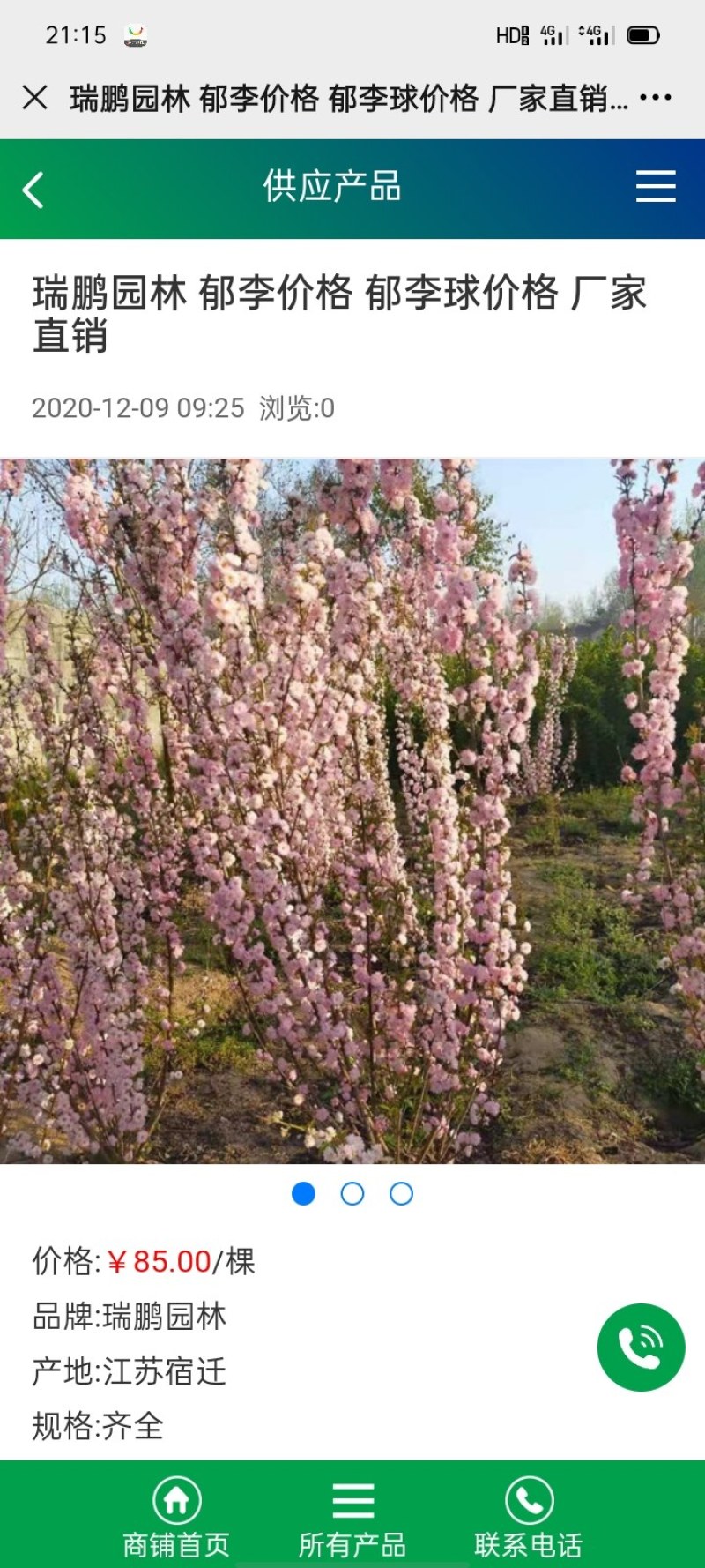 郁李球价格，郁李苗木供应，江苏郁李基地直销