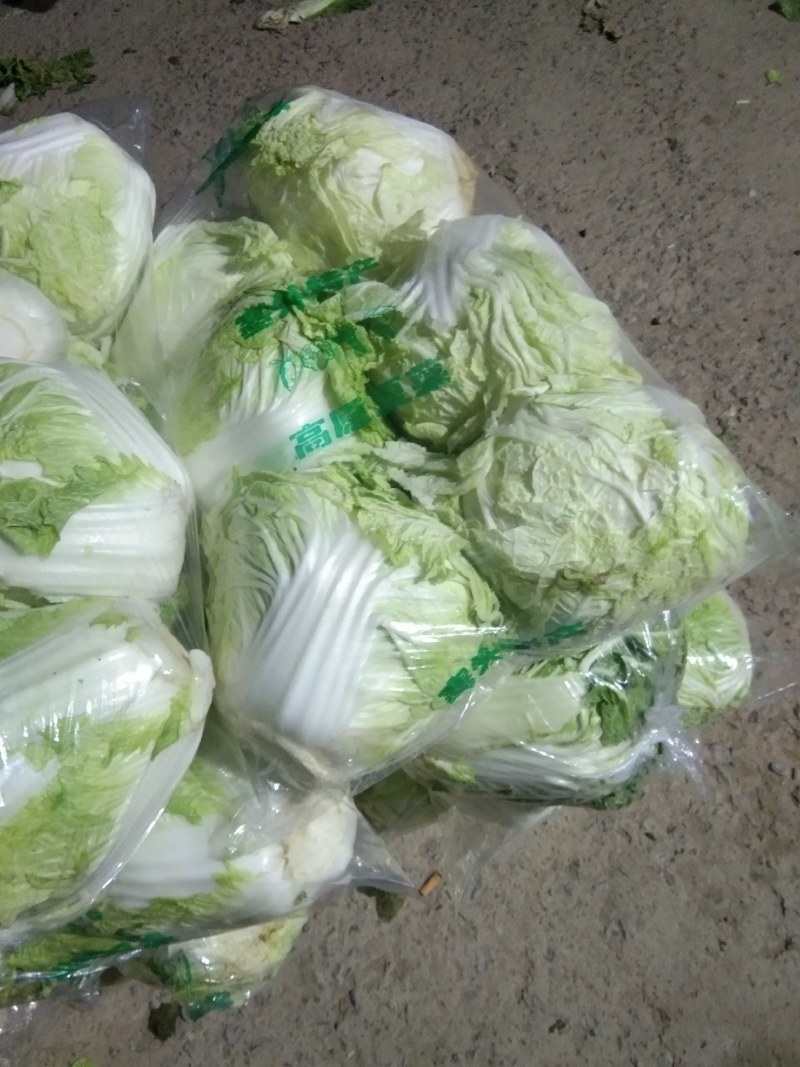 【热销】大白菜，新鲜大量上市货源充足，质量好无虫眼无坏根