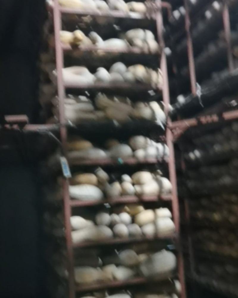 江苏省大丰区优质海南大量供应