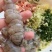 原浆爬虾肉，爬虾生肉，烟台爬虾肉，皮皮虾肉