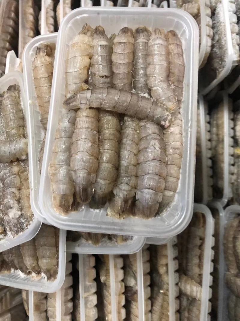 原浆爬虾肉，爬虾生肉，烟台爬虾肉，皮皮虾肉