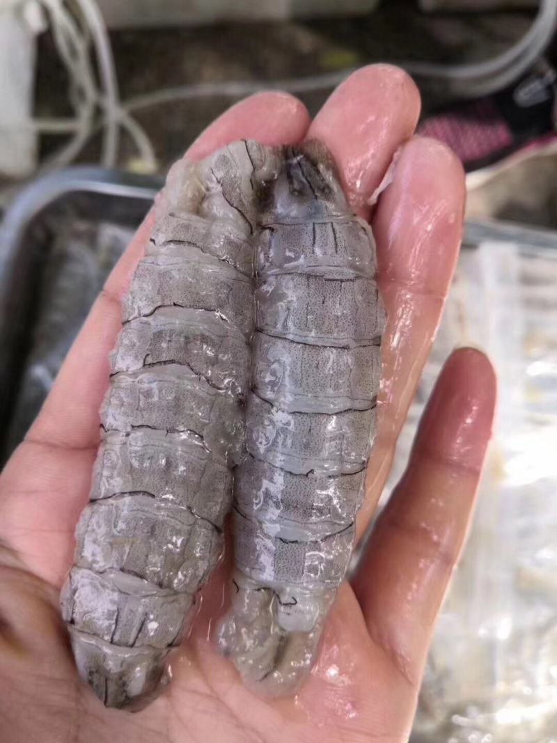 原浆爬虾肉，爬虾生肉，烟台爬虾肉，皮皮虾肉
