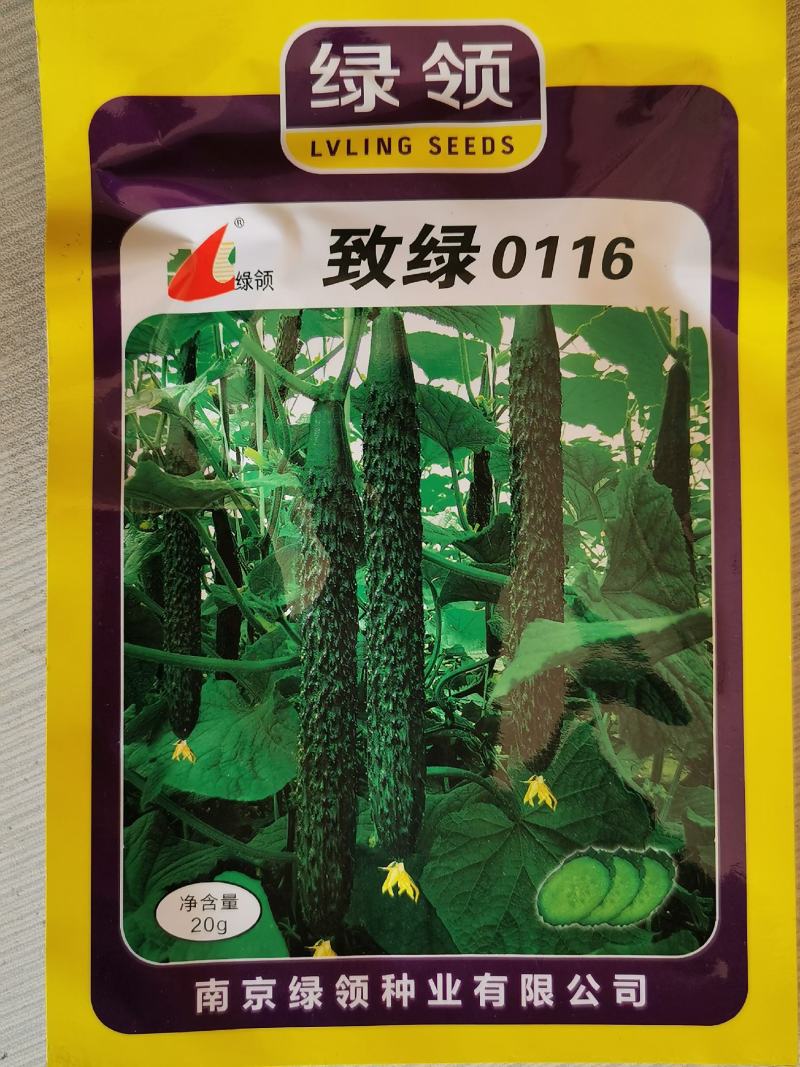 黑油亮绿肉黄瓜种子耐高温黄瓜种原袋发货支持线上交易20克