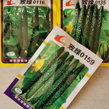 黑油亮绿肉黄瓜种子耐高温黄瓜种原袋发货支持线上交易20克