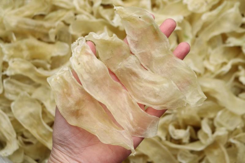 100头佐罗条黄花胶条足干新货没有油
