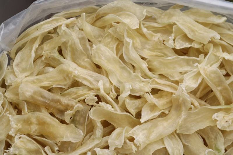 100头佐罗条黄花胶条足干新货没有油