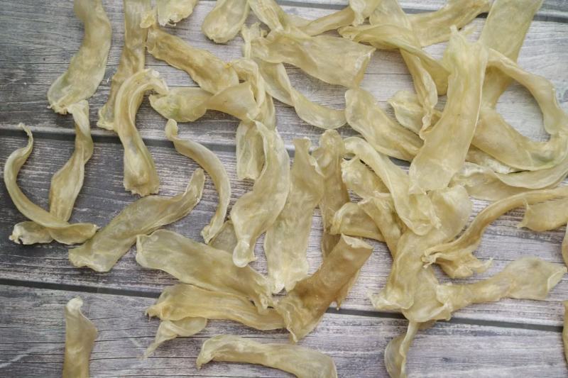 100头佐罗条黄花胶条足干新货没有油