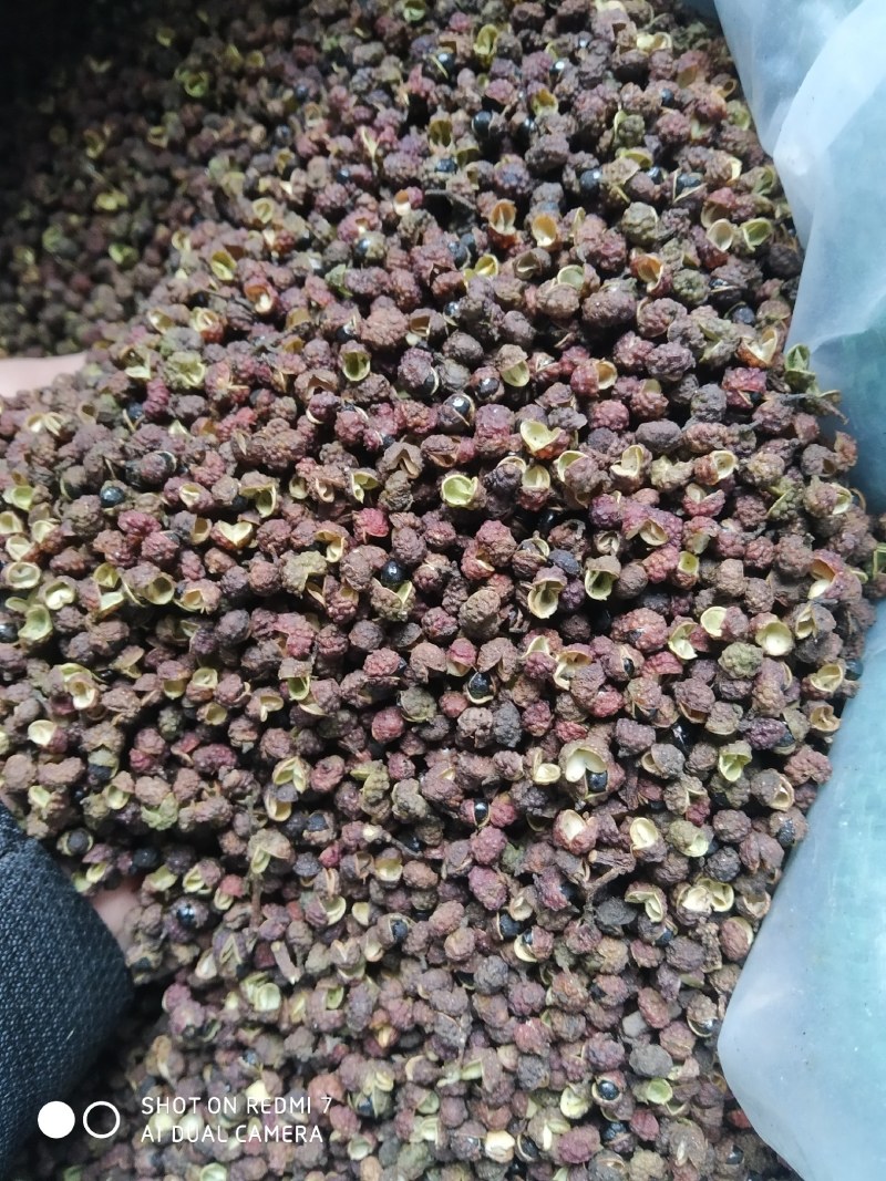 云南昭通，转红花椒，传统晾晒，麻味十足，清香味足，口感好