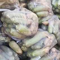 萝卜大量上市保证质量