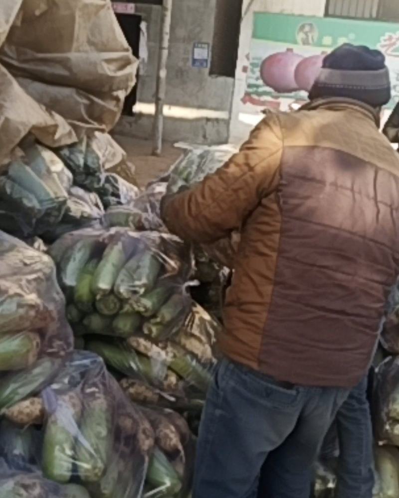 萝卜大量上市保证质量