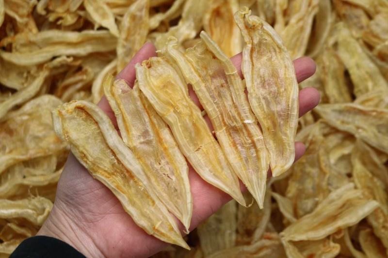 100头双背鱼胶花胶新货肉质新鲜完整漂亮货没有油面