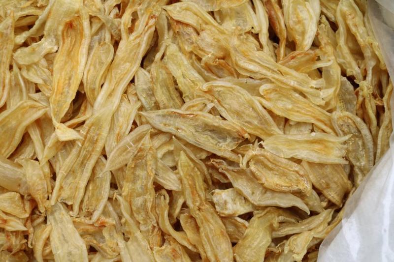 100头双背鱼胶花胶新货肉质新鲜完整漂亮货没有油面