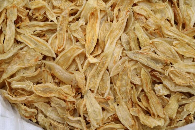 100头双背鱼胶花胶新货肉质新鲜完整漂亮货没有油面