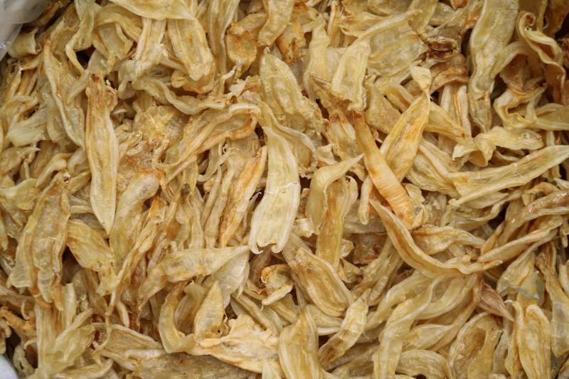 100头双背鱼胶花胶新货肉质新鲜完整漂亮货没有油面