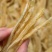 100头双背鱼胶花胶新货肉质新鲜完整漂亮货没有油面