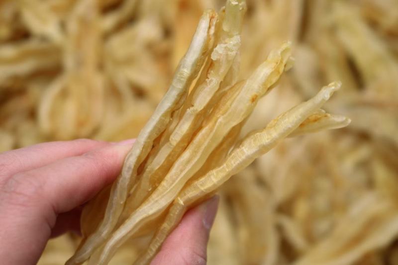 100头双背鱼胶花胶新货肉质新鲜完整漂亮货没有油面