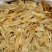 100头双背鱼胶花胶新货肉质新鲜完整漂亮货没有油面
