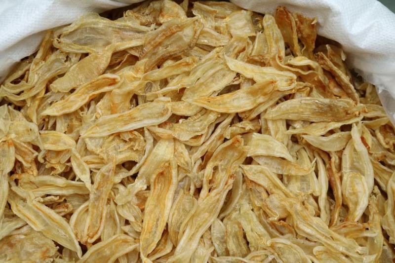 100头双背鱼胶花胶新货肉质新鲜完整漂亮货没有油面