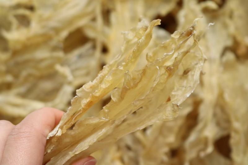 150头鳕鱼胶鱼胶花胶产自北欧渔场