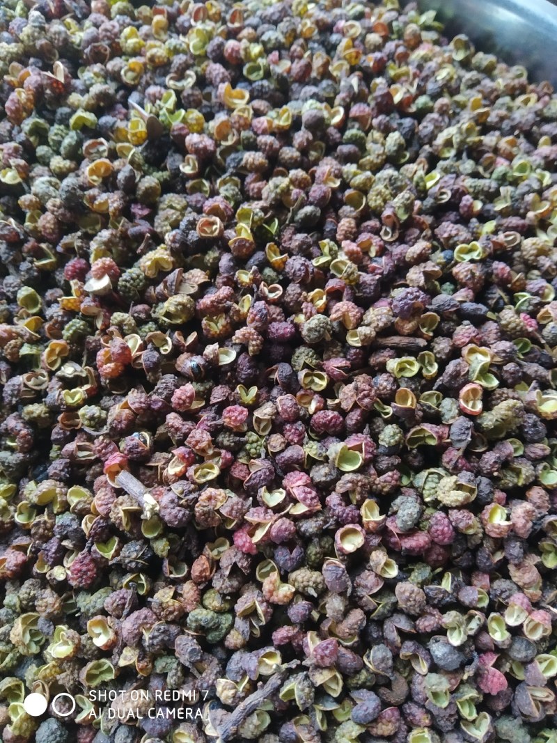 云南昭通，转红花椒，传统晾晒，麻味十足，清香味足，口感好