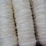 6A大疏盏燕盏燕窝印尼95干度50g450元