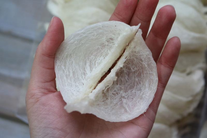 纯干挑4A中密盏燕窝印尼95干度50g680元