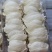 纯干挑4A中密盏燕窝印尼95干度50g680元